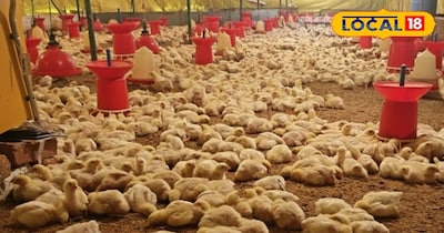 प्रतीकात्मक तस्वीर