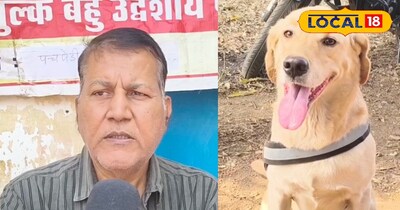 फरवरी में कुत्तों पर मंडरा रहा जानलेवा खतरा