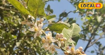 प्रतीकात्मक