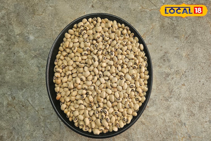 লবিয়ার সুবিধা 