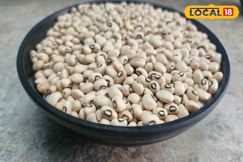 লবিয়ার সুবিধা 