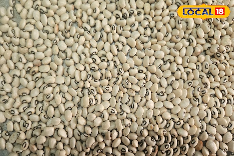 লবিয়ার সুবিধা 