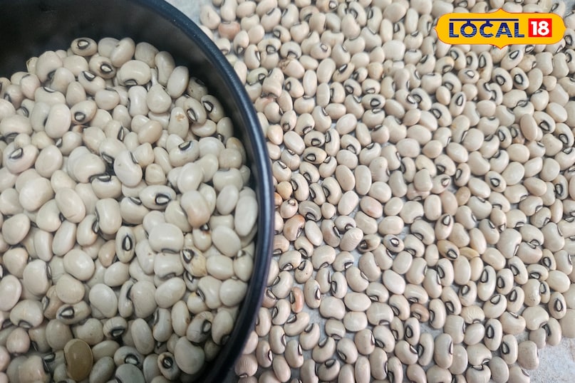 লবিয়ার সুবিধা 