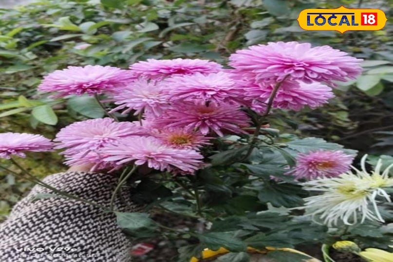 মোরাদাবাদের খবর, হিন্দি খবর, আপ নিউজ, স্থানীয় খবর, মোরাদাবাদের খবর, হিন্দি খবর, ইউপি খবর, স্থানীয় খবর। মোরাদাবাদের খবর, হিন্দি খবর, আপ নিউজ, স্থানীয় খবর, মোরাদাবাদের খবর, হিন্দি খবর, ইউপি খবর, স্থানীয় খবর।