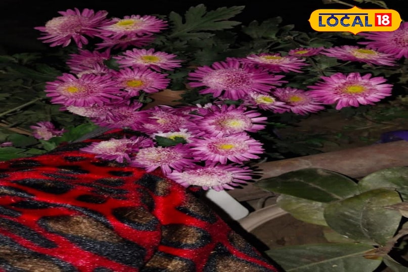 মোরাদাবাদের খবর, হিন্দি খবর, আপ নিউজ, স্থানীয় খবর, মোরাদাবাদের খবর, হিন্দি খবর, ইউপি খবর, স্থানীয় খবর। মোরাদাবাদের খবর, হিন্দি খবর, আপ নিউজ, স্থানীয় খবর, মোরাদাবাদের খবর, হিন্দি খবর, ইউপি খবর, স্থানীয় খবর।