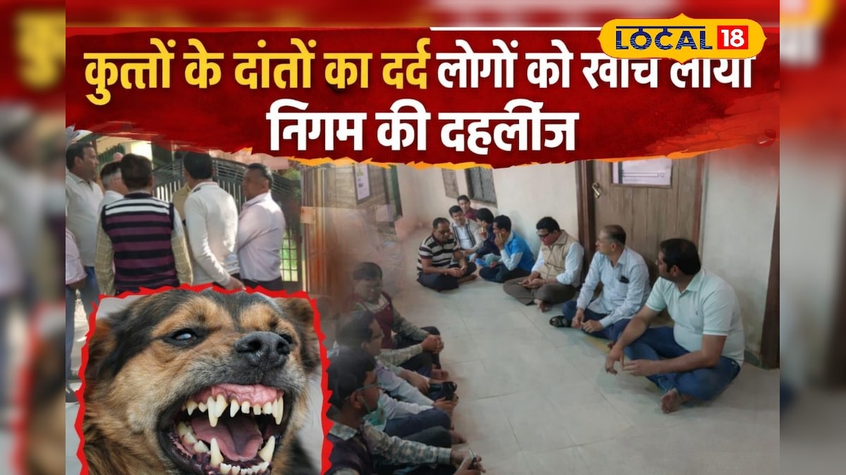 पाली में कुत्तों का आतंक बेकाबू: डर से सहमा शहर, न्याय की गुहार लेकर नगर निगम दफ्तर पर सैकड़ों लोग धरने पर पहुंचे