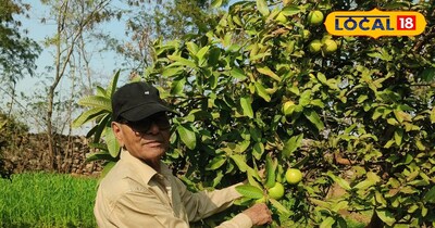 अमरूद की खेती