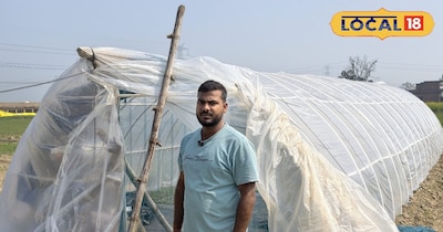 देसी जुगाड़ से बनाएं अपना पॉलीहाउस 