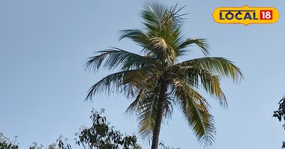 नीला आसमान और तेज धूप 