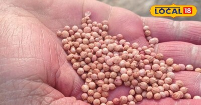 कम जमीन, हर महीने कमाई एक साथ डबल फसल, लंबी कटाई और लगातार जबरदस्त मुनाफा