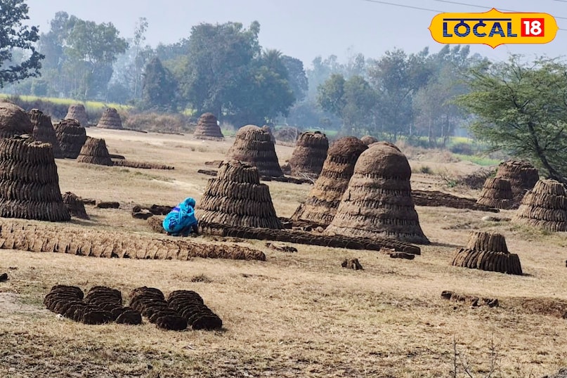गोबर