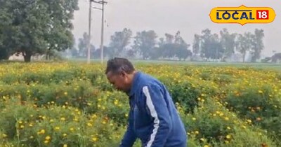 इस खेती से आप भी कमा सकते हैं हजारों रूपये, बस करना है यह काम.