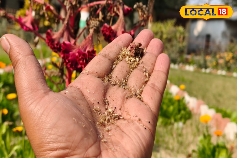 চোখের জন্য উপকারী 