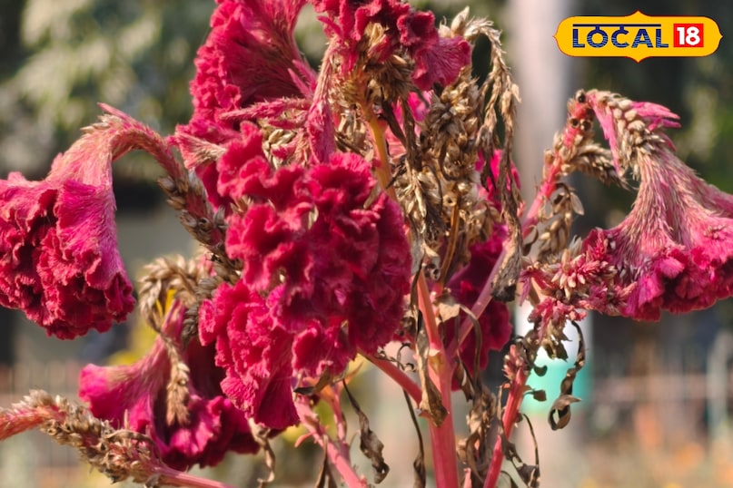 সতর্কতা অত্যন্ত গুরুত্বপূর্ণ