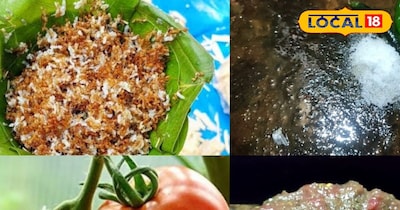 बस्तर की मशहूर चापड़ा चटनी- लाल चींटी और टमाटर का अनोखा स्वाद