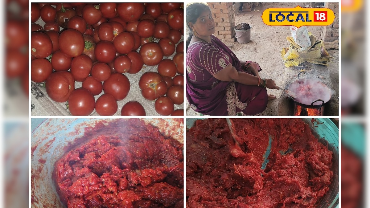 Recipe : बिना फ्रिज, बिना केमिकल… छत्तीसगढ़ का ये देसी तरीका रखे टमाटर को सालों तक ताजा!