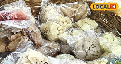 पापड़ का बिजनेश 