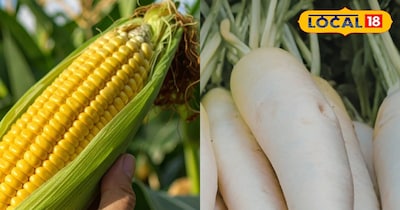 मूली मक्का 