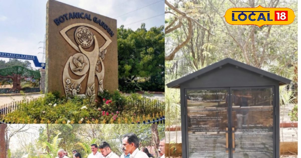 हैदराबाद में अब पार्क के अंदर मिलेगी मुफ्त लाइब्रेरी! बोटानिकल गार्डन में वन निगम ने शुरू की ये दो शानदार सुविधाएं