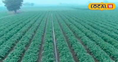 सांकेतिक फोटो