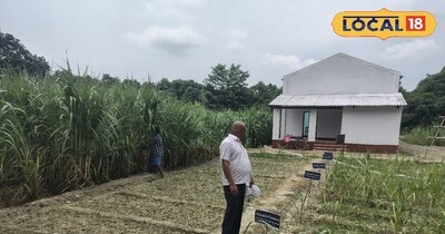 फाइल फोटो 