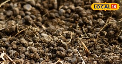 प्रतीकात्मक तस्वीर 