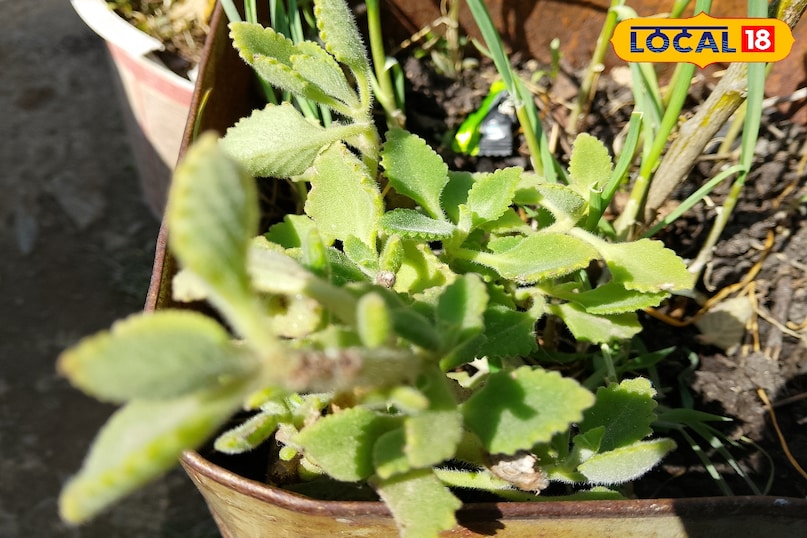 অন্যান্য সুবিধা 