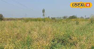 खेत की तैयारी