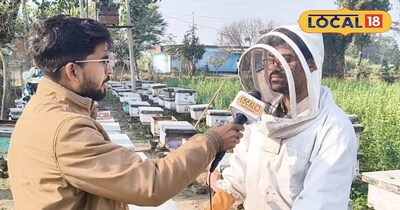 मधुमक्खी पालन करने।