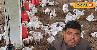 पोल्ट्रीफार्म में सीफूड और एंटीबायोटिक्स का इस्तेमाल