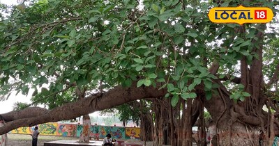 प्राचीन वट वृक्ष, महराजगंज