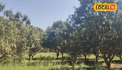 प्रतीकात्मक