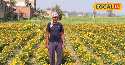 इस गांव में फूल हीं फूल, एक किसान ने बदल दी गांव की तस्वीर।