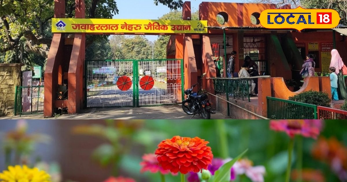 बोकारो में दो दिवसीय पुष्प प्रदर्शनी पुष्पिता 2026 का होगा आयोजन, 17 फरवरी है आवेदन की आखिरी तारीख 