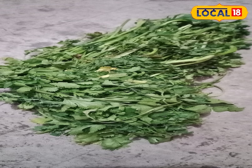 Moradabad news, hindi news, up news, local news, मुरादाबाद समाचार, हिंदी समाचार, लोकल समाचार, यूपी समाचार। Moradabad news, hindi news, up news, local news, मुरादाबाद समाचार, हिंदी समाचार, लोकल समाचार, यूपी समाचार।