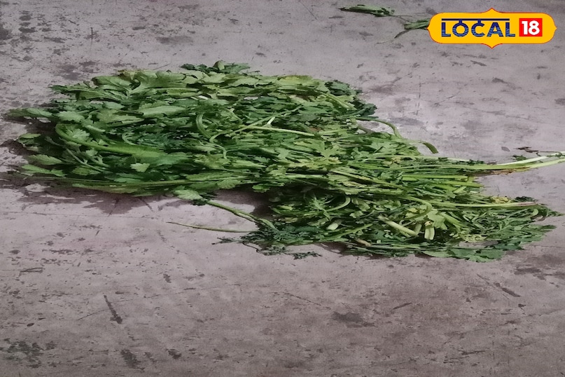 Moradabad news, hindi news, up news, local news, मुरादाबाद समाचार, हिंदी समाचार, लोकल समाचार, यूपी समाचार। Moradabad news, hindi news, up news, local news, मुरादाबाद समाचार, हिंदी समाचार, लोकल समाचार, यूपी समाचार।