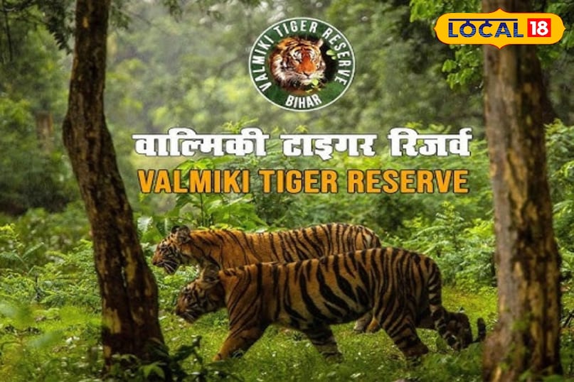 बिहार का इकलौता टाइगर रिज़र्व 