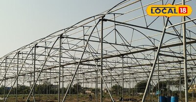 इन तरीकों से फसल पर मौसम का सीधा असर कम पड़ता है.