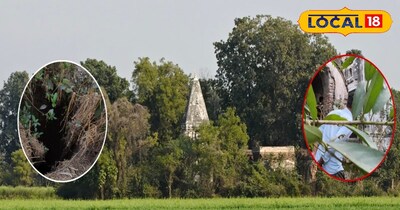 डरावना मुड़ी कटवा शिवाला... नहीं होता पूजा पाठ 