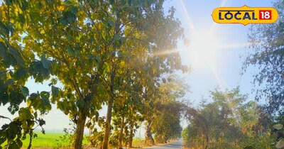 साफ आसमान से बढ़ा तापमान 