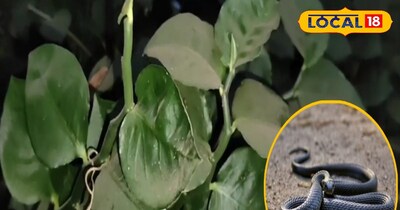 प्रतीकात्मक