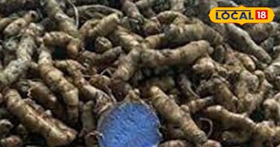 काली हल्दी की खेती से किसानों को मिल सकता है लाखों का मुनाफा, जानिए इसकी खासियत