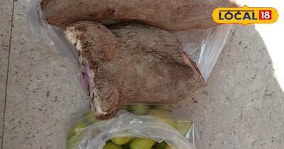 महाशिवरात्रि पर भगवान शिव को अर्पित किए जाने वाले बेर और तोड़,