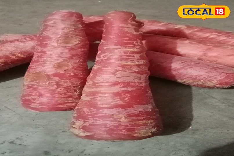 মোরাদাবাদের খবর, হিন্দি খবর, স্থানীয় খবর, আপ নিউজ, মোরাদাবাদের খবর, হিন্দি খবর, স্থানীয় খবর, ইউপি খবর।