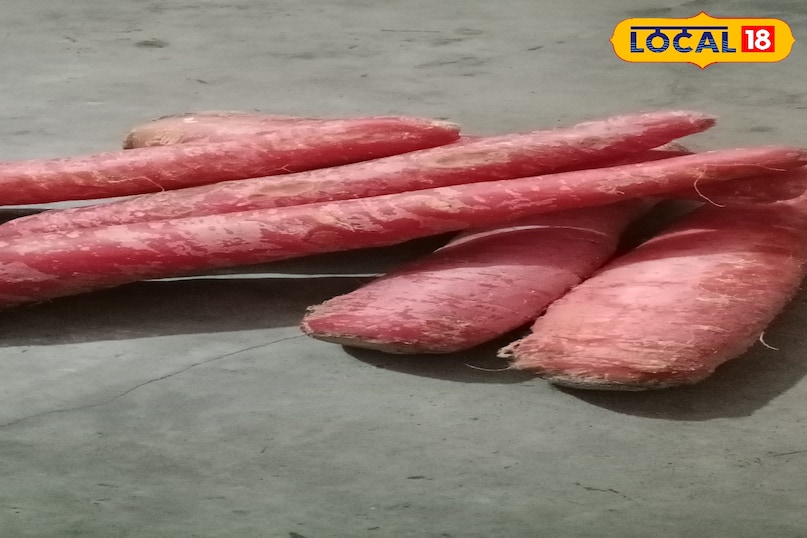 মোরাদাবাদের খবর, হিন্দি খবর, স্থানীয় খবর, আপ নিউজ, মোরাদাবাদের খবর, হিন্দি খবর, স্থানীয় খবর, ইউপি খবর।