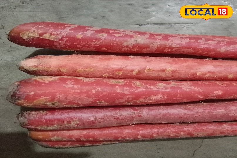 মোরাদাবাদের খবর, হিন্দি খবর, স্থানীয় খবর, আপ নিউজ, মোরাদাবাদের খবর, হিন্দি খবর, স্থানীয় খবর, ইউপি খবর।