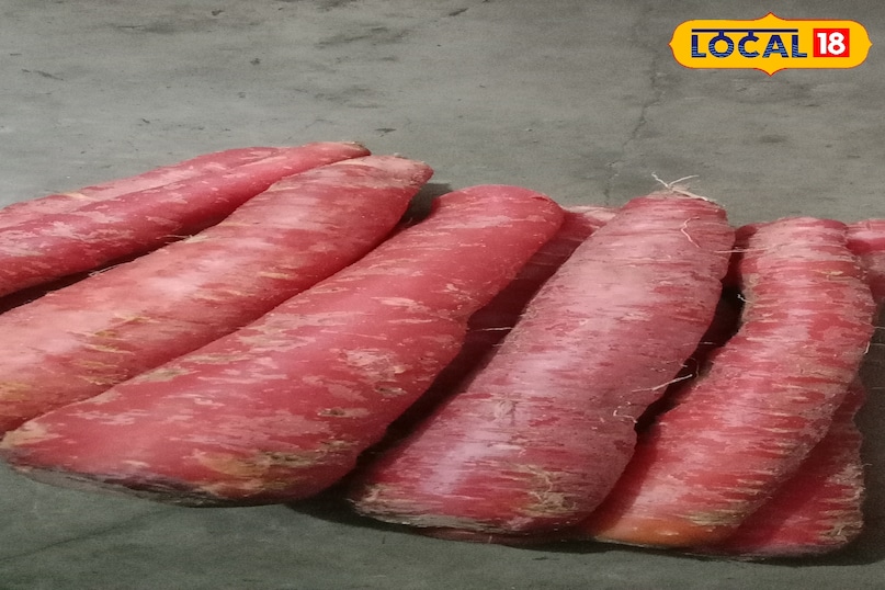 মোরাদাবাদের খবর, হিন্দি খবর, স্থানীয় খবর, আপ নিউজ, মোরাদাবাদের খবর, হিন্দি খবর, স্থানীয় খবর, ইউপি খবর।