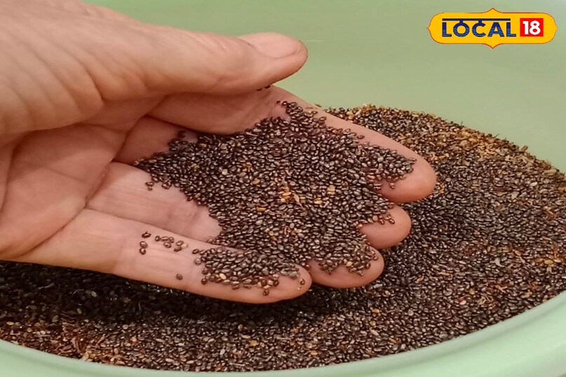 Agriculture Tips Agriculture Tips