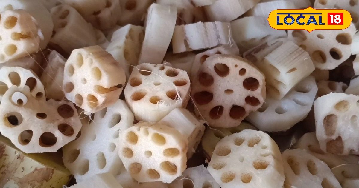 फाइबर, प्रोटीन का प्रमुख स्रोत है कमल ककड़ी, दिल की सेहत के लिए फायदेमंद, ऐसे करें इसका सेवन