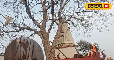 अद्भूत वृक्ष 